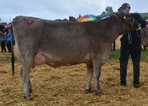 Vize-Miss Einsiedeln